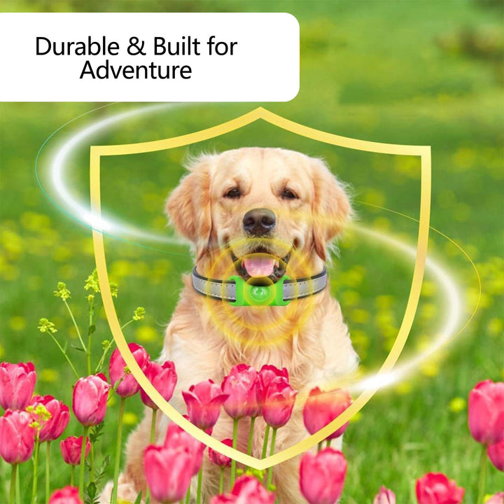All-natural Silicone Collar for Cats and Dogs with 2 Capsules, Featuring Plant-based Extract for Pest Control