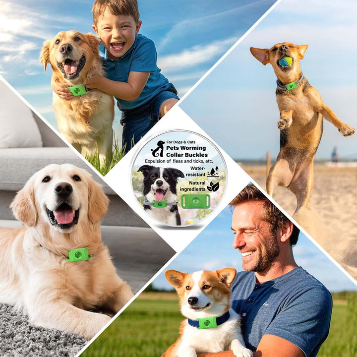 All-natural Silicone Collar for Cats and Dogs with 2 Capsules, Featuring Plant-based Extract for Pest Control